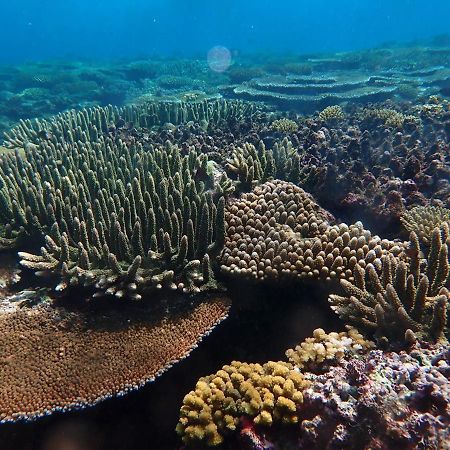 Fiji Lodge Vosa Ni Ua Savusavu Eksteriør bilde