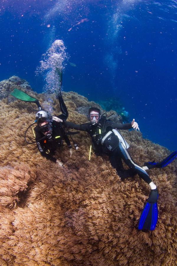 Fiji Lodge Vosa Ni Ua Savusavu Eksteriør bilde