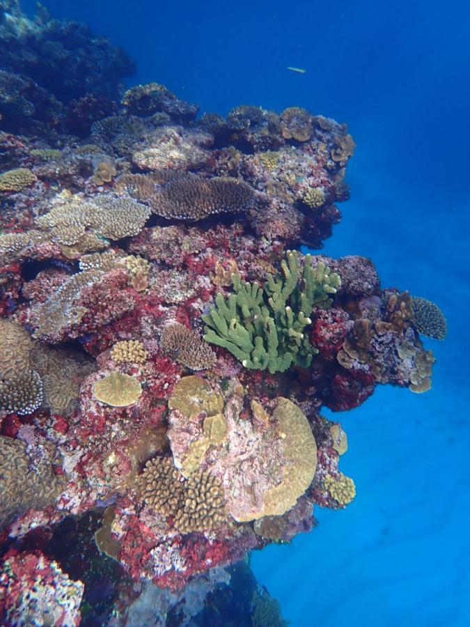 Fiji Lodge Vosa Ni Ua Savusavu Eksteriør bilde